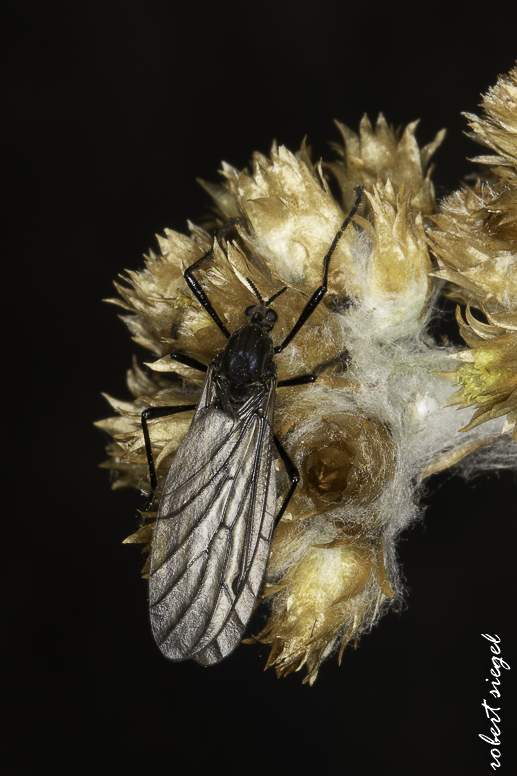 quito botanical garden